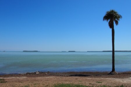 Golf van Mexico vanaf de Flamingo campground, Everglades